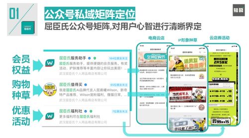 一、 京东电商的运营策略解析