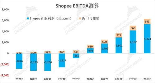 二、 Shopee支付方式详解