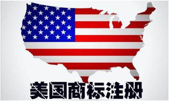 准备阶段：确定是否需要注册商标