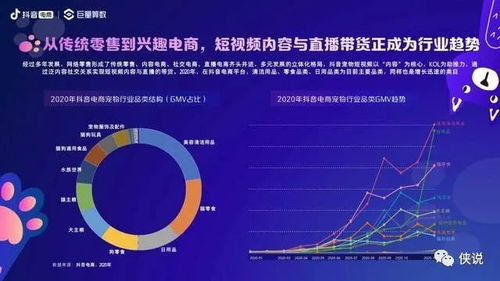 洞察行业前沿， 分析Shopify等平台的前500名店铺