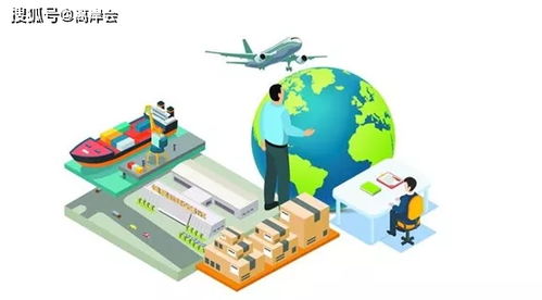 一、 目的港弃货的成因解析