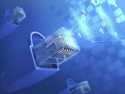 一、开两个网店是否需要两根网线？