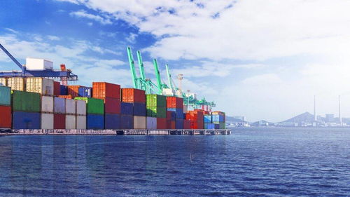 九、 货物固定与填充