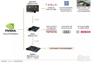 深入探讨美东卡派与美国卡派：选择适合您需求的运输方式