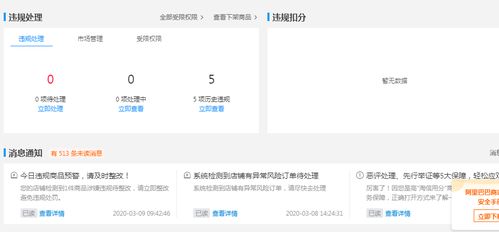工作三：淘宝运营助理所需技嫩
