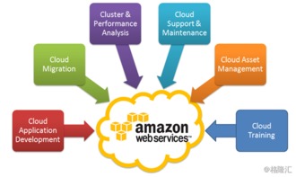 数据支持与转化率提升