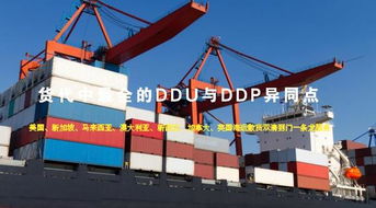 一、 DDP与DDU的定义与本质