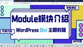 WordPress Divi主题价格概览