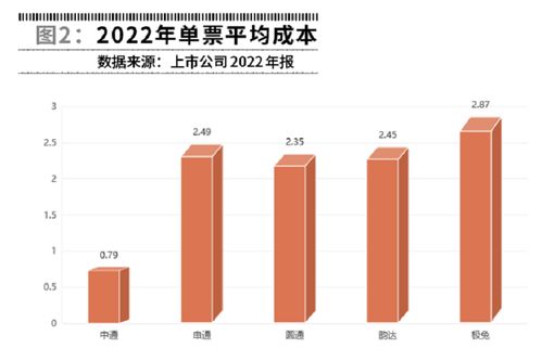 市场策略与品牌定位