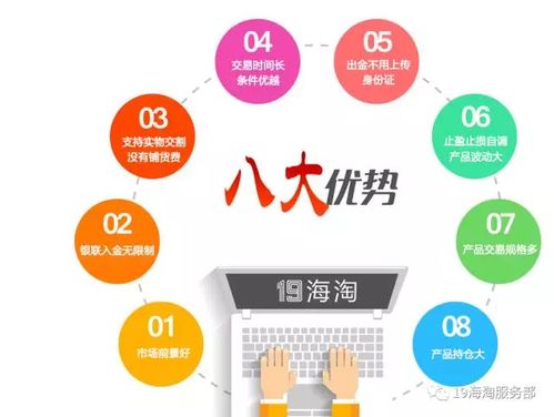 二、 众多电商平台的涌现