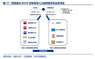 一、88VIP会员制度的概述