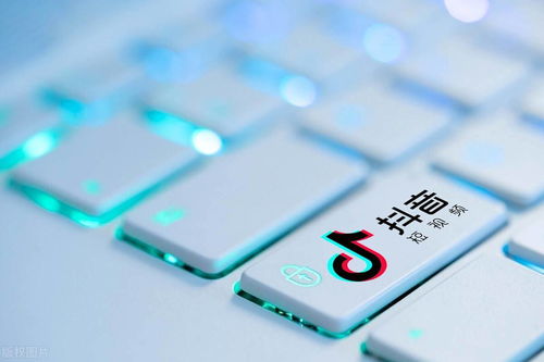 备份数据