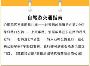 尾程运输常见问题处理方案：确保物流平安与效率