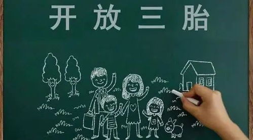 香港公司注册号码的政策支持