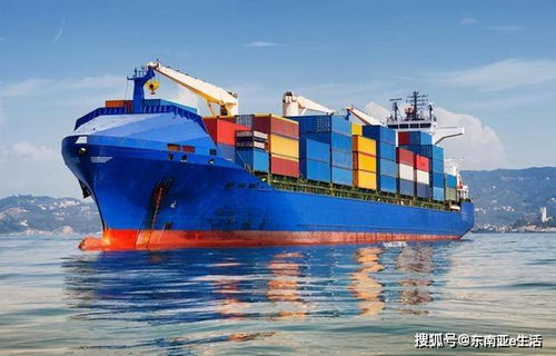 大宗散装货物的运输适配逻辑