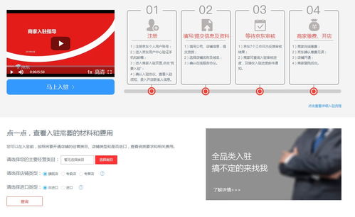 京东商城：B2C的领军企业