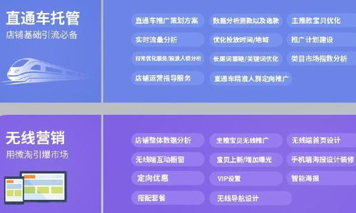 一、 淘森电子商务运营：专业淘宝代运营服务商