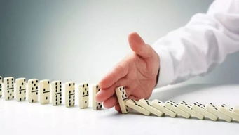 3. 抗风险护城河