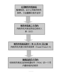 新加坡公司报税全流程解析与注意事项梳理
