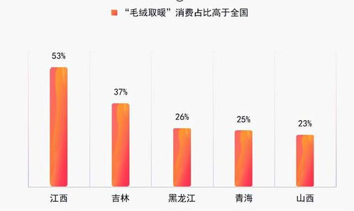 四、 地域差异与消费偏好