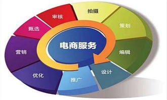 一、 京东电器货源概述
