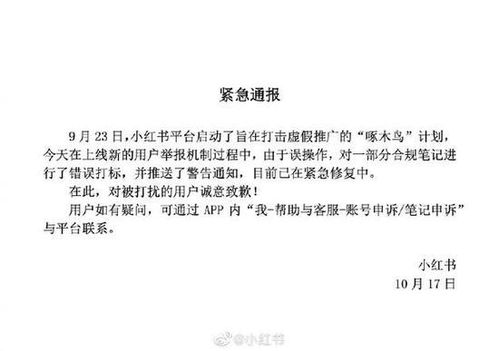 二、 合法合规的途径与风险防范