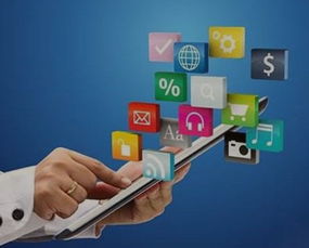 一、电商平台的兴起与消费者需求