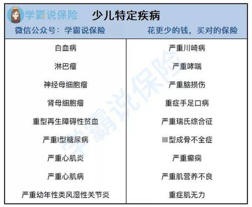 Shopify Plus：定制化解决方案
