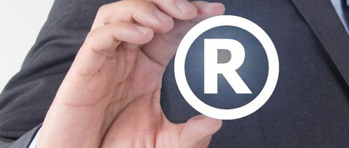 （二）确定商品/服务类别