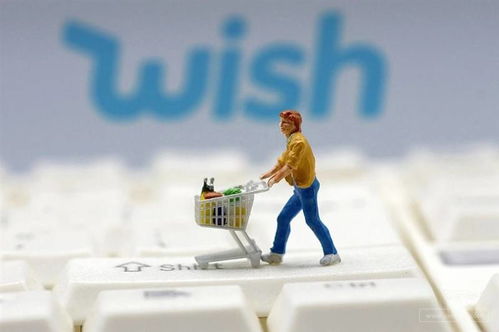 （三）提供商品图片的购买服务