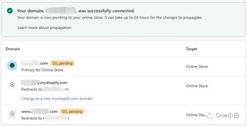 2. 使用自定义域名