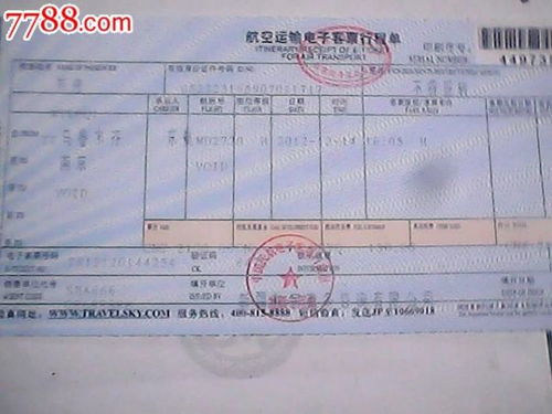 主运单与分运单：集中托运的凭证体系