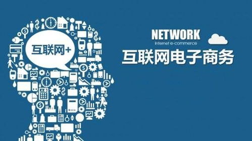 专业指导：借助专业机构降低风险， 提高成功率