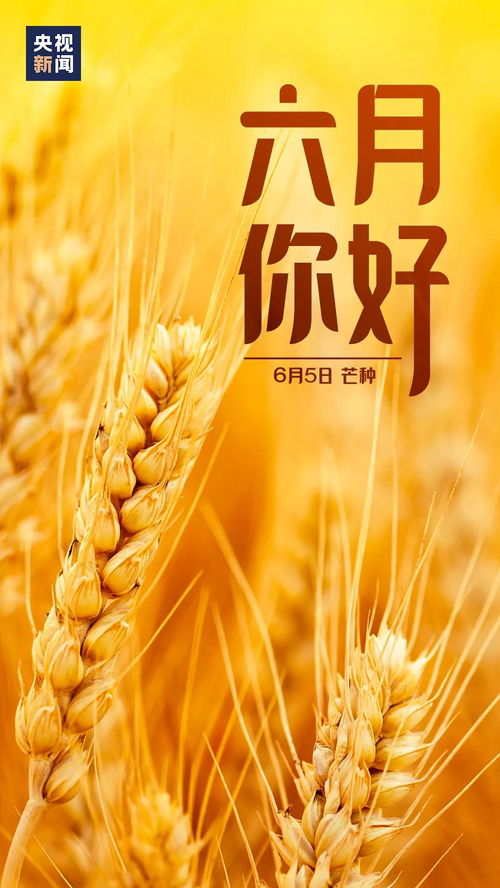 六、2025年微信小店运营策略与开通指南