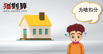 一、 竞争激烈：市场动态的加剧