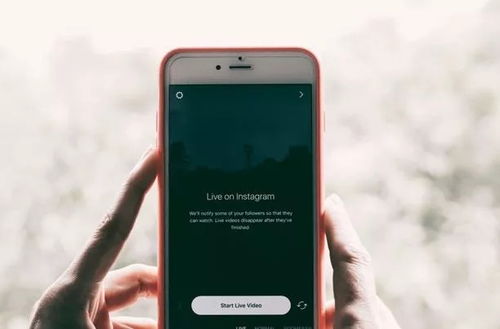 社交媒体与网红合作