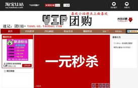 2. 利用第三方导购网站