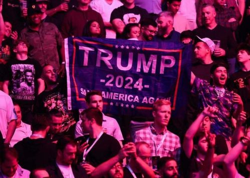 粉丝的力量：首映礼的效应