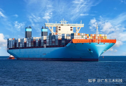 转口贸易的特点