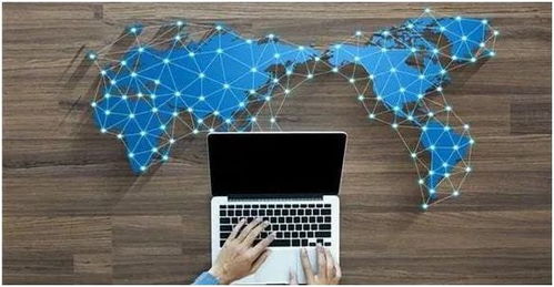 价值网的战略性与创新模式