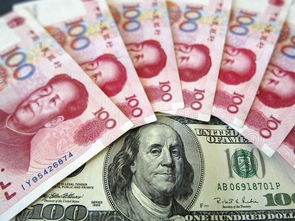 二、 律法风险与合法性确认