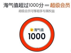 五、 淘气值背后的权益体系：消费之外的价值