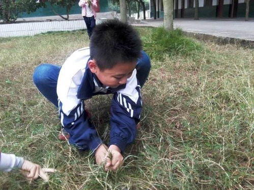 一、 现代人生活的“种草与拔草”循环