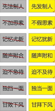 1. 托盘使用规范