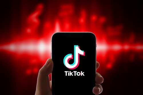 学习运营策略：识别他们和粉丝互动的方式，以及他们是如何安排和发布内容的。