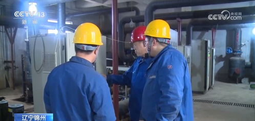 四、 加拿大专线应急预案核心架构