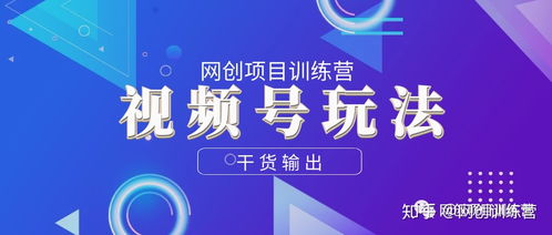 二、 多元化推广策略，拓宽传播渠道