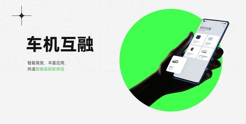 公开与私密：视频可见性的双重选择