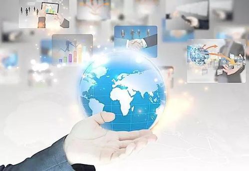 五、确定经营范围