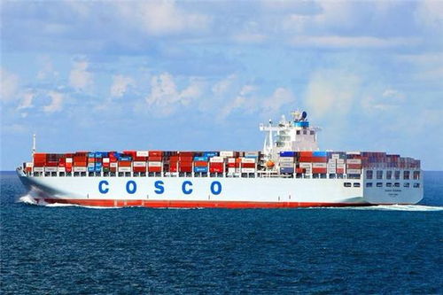 卡派的具体操作流程